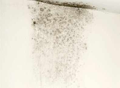 장성 주택 아파트 공장 결로검사 결로공사 시공업체