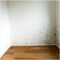 장성 주택 아파트 공장 결로검사 결로공사 시공업체-6106663